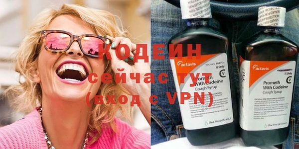 прущий лед Алзамай