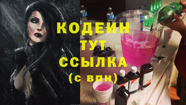 прущий лед Алзамай