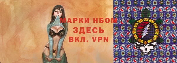 прущий лед Алзамай