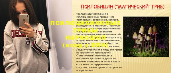 дживик Алексеевка